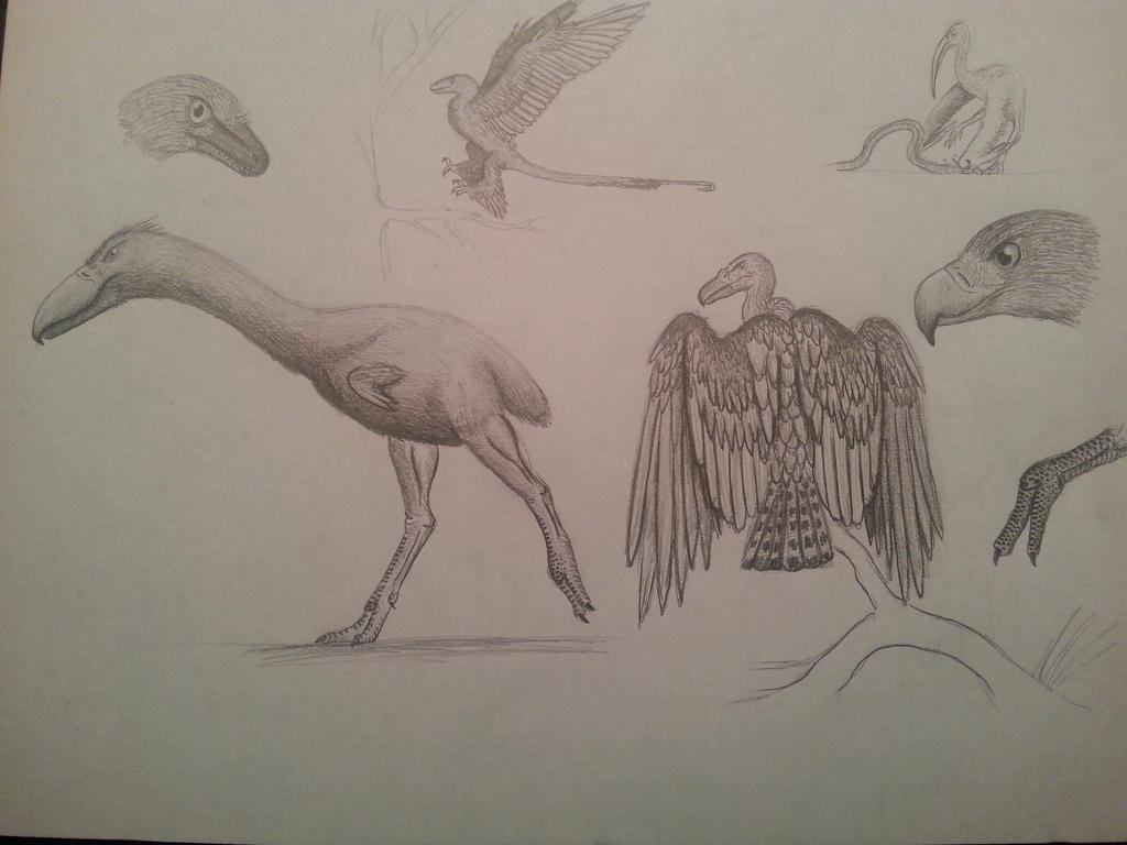 sketches_by_spinosaurus1-d84dbqb.jpg