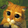 Pussy_Cat__Animated_by_Gipi2009.gif