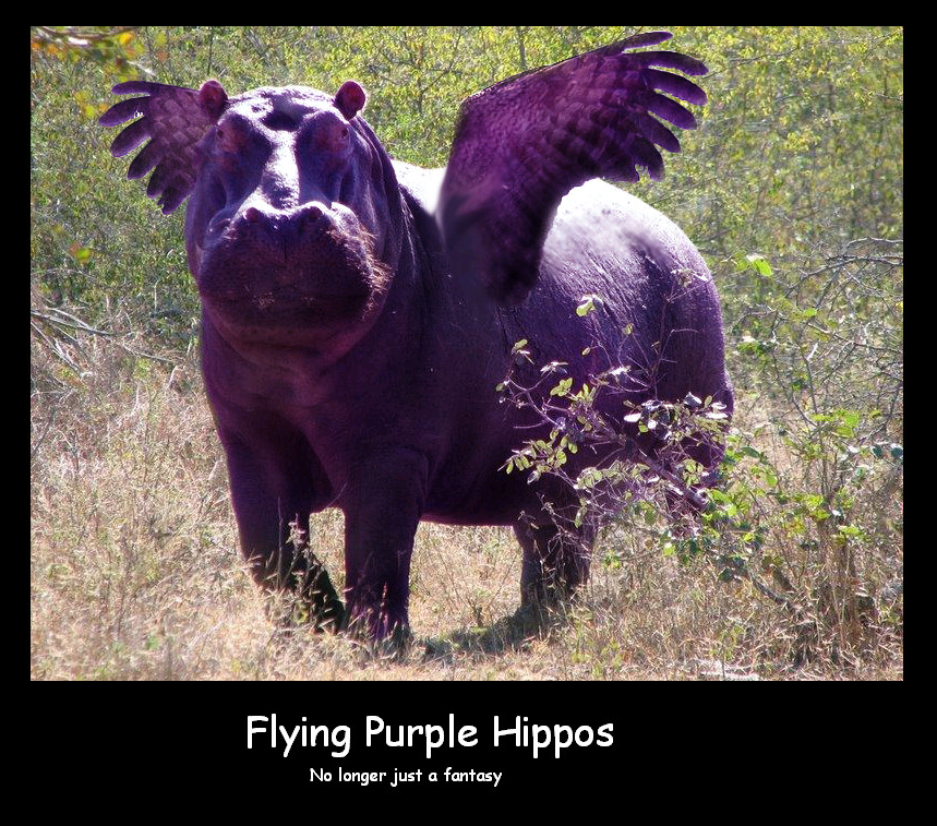 http://fc02.deviantart.net/fs71/f/2010/340/4/c/purple_hippo_by_waterfaeriex99-d34d3lb.jpg