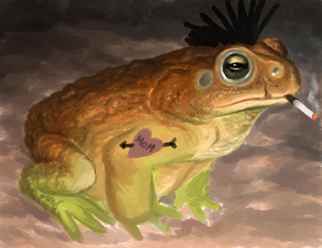 [Image: toad_with_mohawk_by_midknight23-d4s1you.jpg]