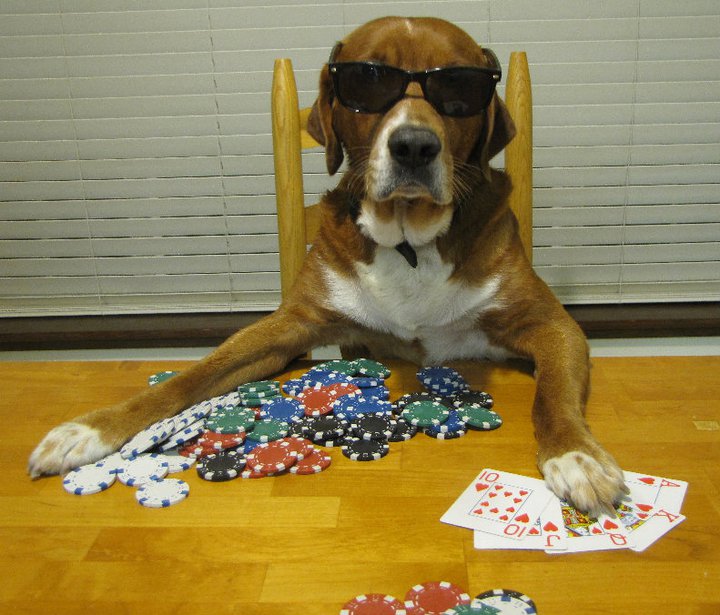 Poker Was My Retirement Plan