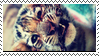 stamp_tiger_by_tuuuuuu-d61h1h0.png