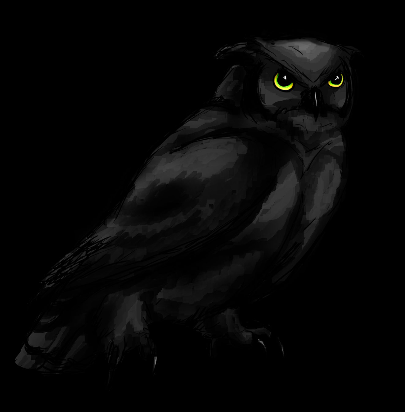 black_owl_by_feralkyn d6byceb