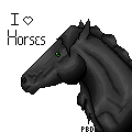 i_love_horses_avi_by_purebreddressage-d6dbaku.gif
