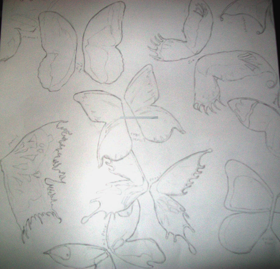 Pics Of Butterflies To Color. Butterflies - no color by