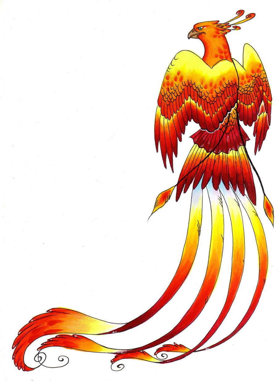 Phoenix Tattoo By Valner On