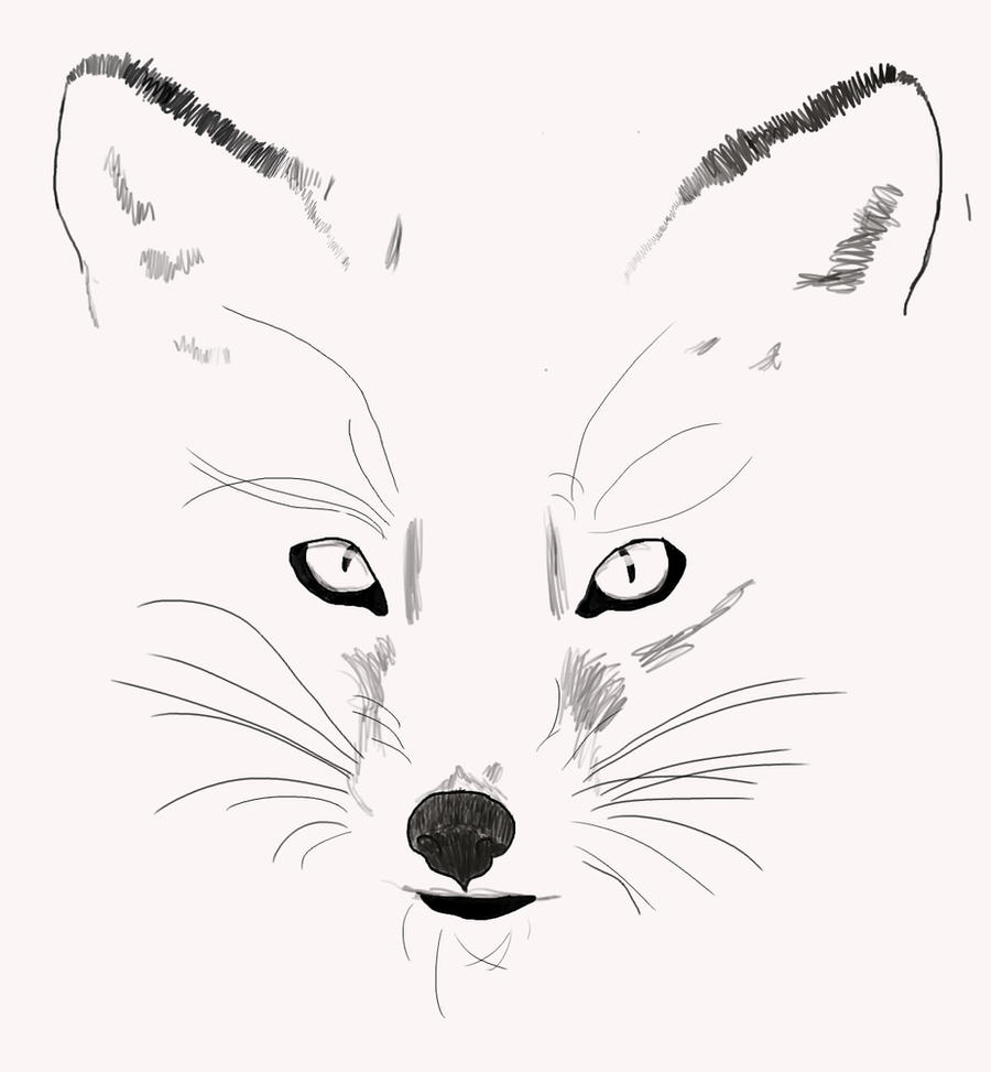 Fox Drawing Outline