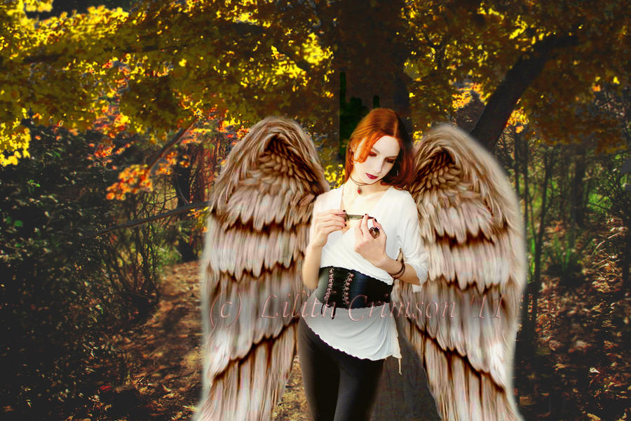 fallen_autumn_angel_by_lilithcrimson-d3c5vrc.jpg