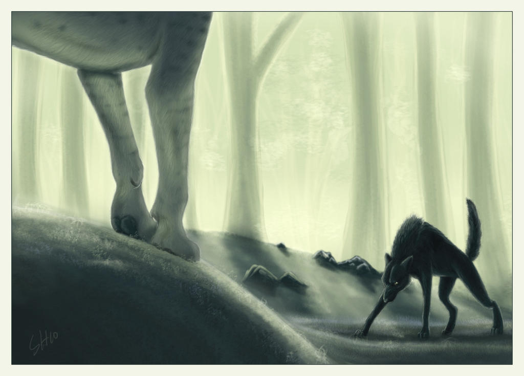 http://fc02.deviantart.net/fs71/i/2011/178/5/2/this_is_my_forest_by_blackseagull-d2nw0ue.jpg