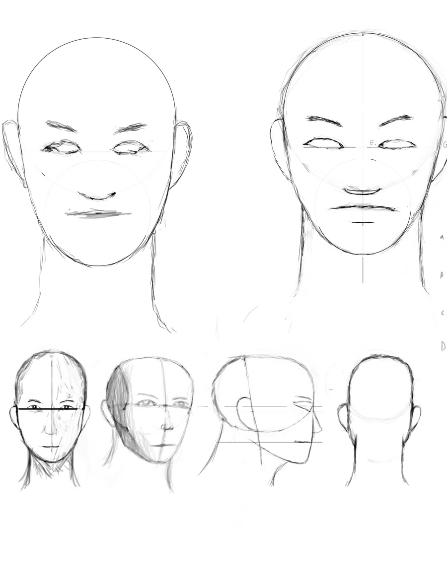 face_study_by_timmywithag-d42g58z.png