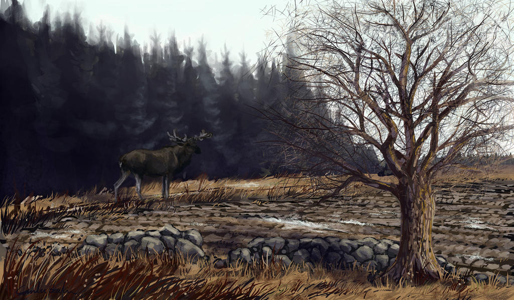 [Image: moose_and_stuff_by_canoda-d4tdq3s.jpg]