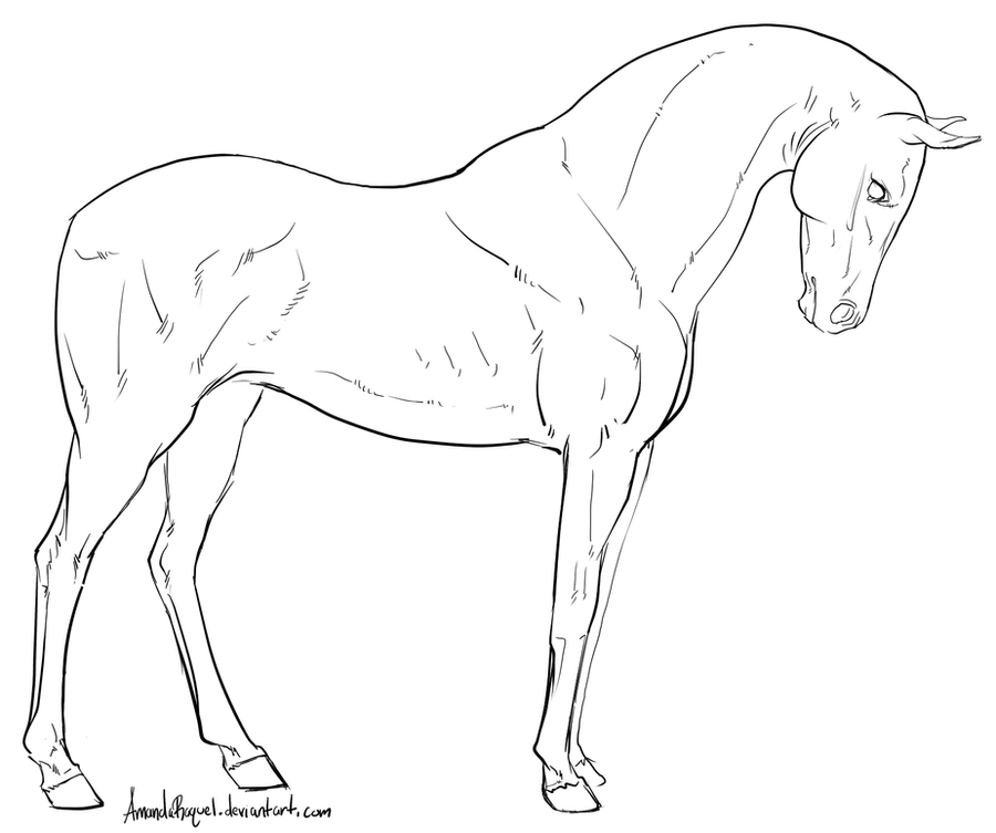 Standing Horse Lineart by AmandaRaquel on DeviantArt