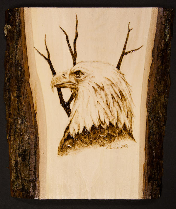 Eagle woodburning by AllieRaines on DeviantArt