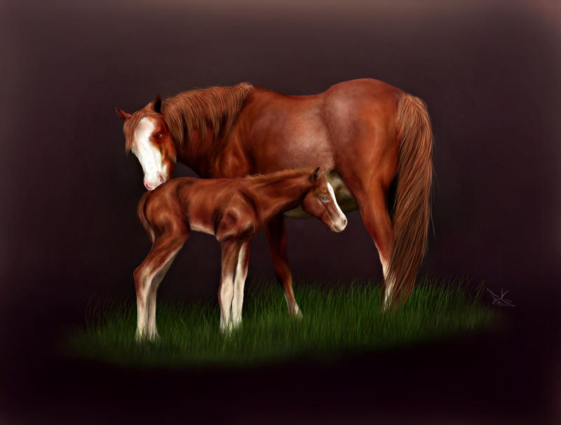 elmo_foal_painting_by_bluebird_stock-d5uspm4.jpg