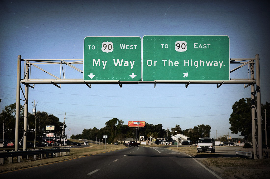 idioms__it_s_my_way_or_the_highway_by_angrydogdesigns-d619qxg.png