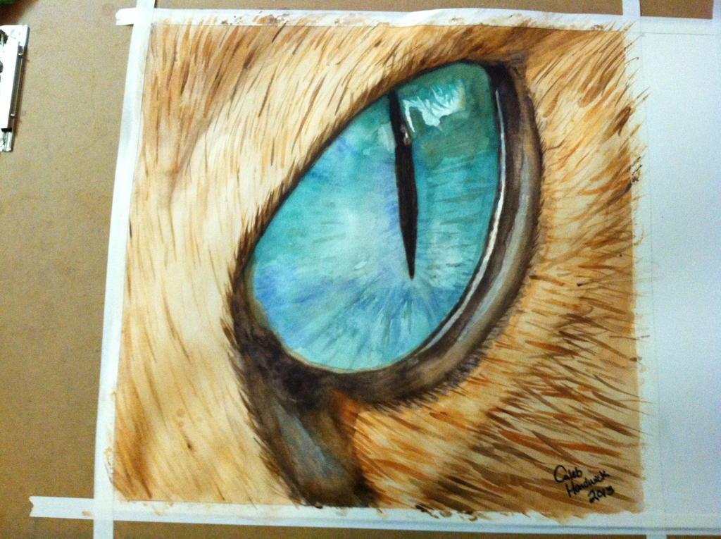 cat eye watercolor by DisturbedEuphony on DeviantArt