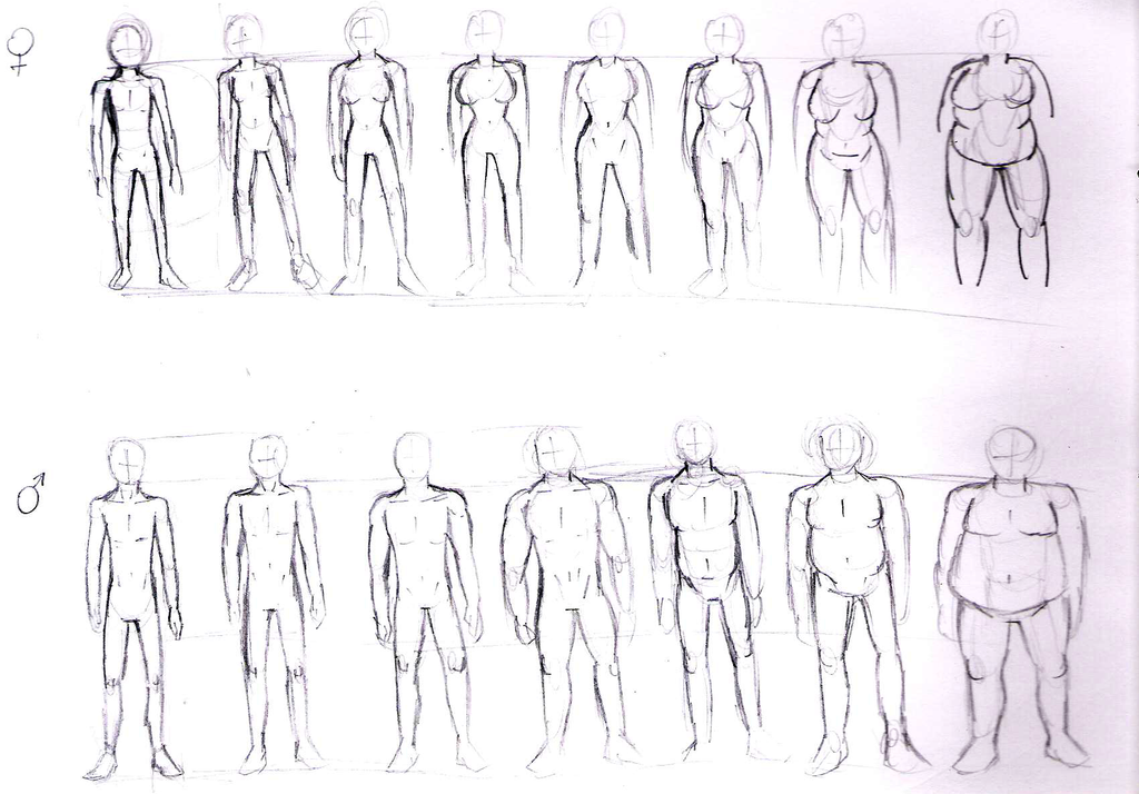 Practicing human anatomy: Body types by Baztey on DeviantArt