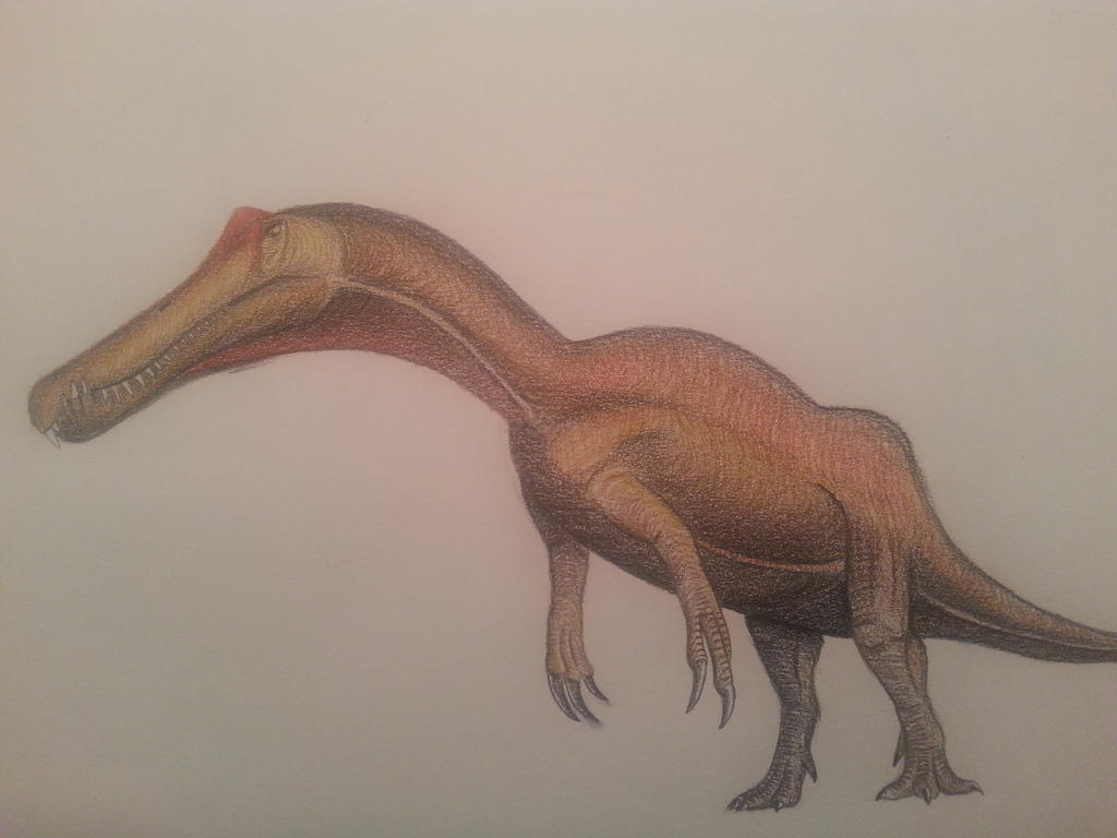 ichthyovenator_laosensis_by_spinosaurus1-d82oi3s.jpg