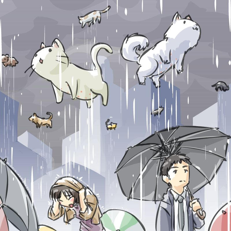 raining cats and dogs #illustration #animals