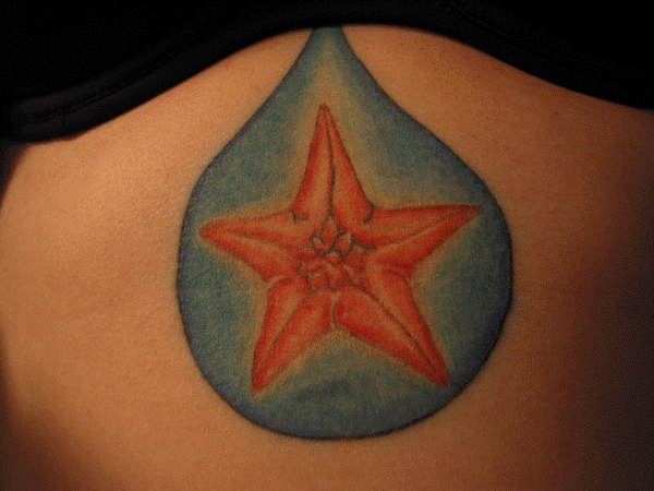 starfish tattoos