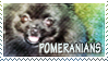 Pomeranians Stamp by SilverDolphin324
