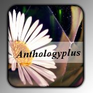 Button For - Anthologyplus by Me2Smart4U