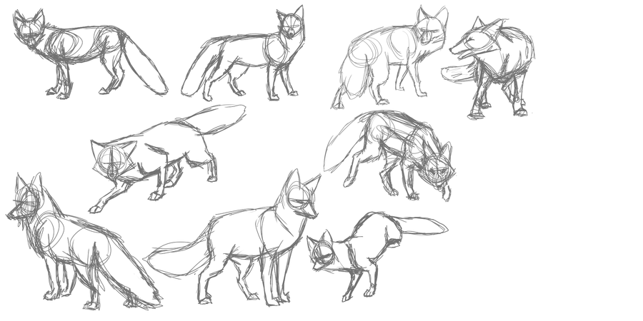 cute fox sketches! | References for fox character | Pinterest