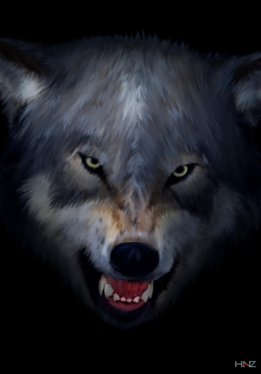 snarling wolf by znahyer on DeviantArt