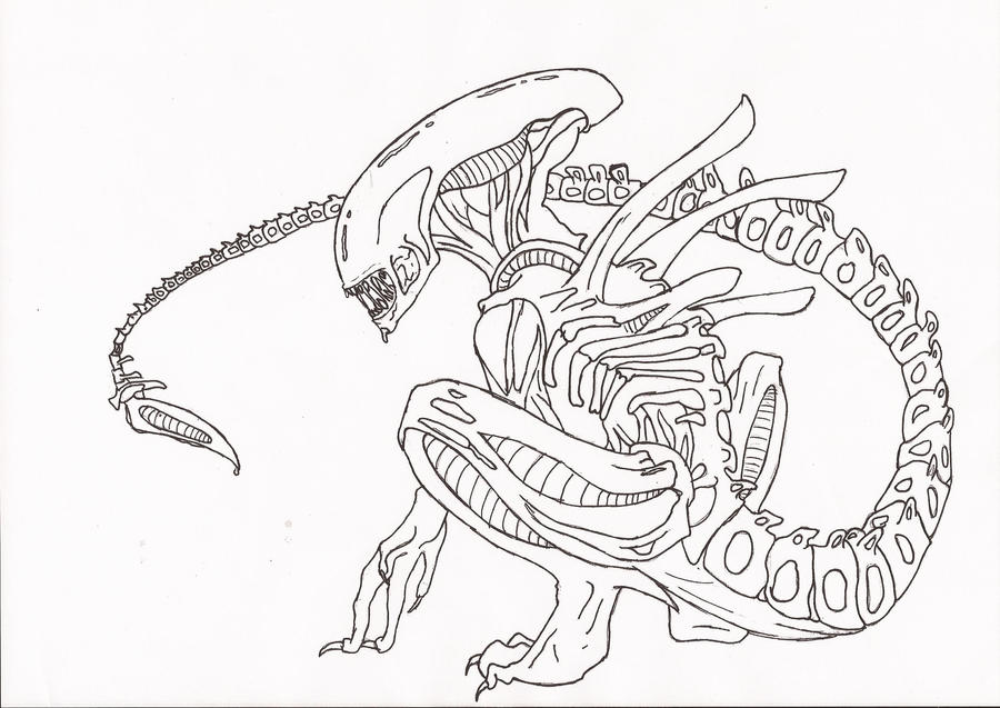 xenomorph drone coloring pages - photo #33