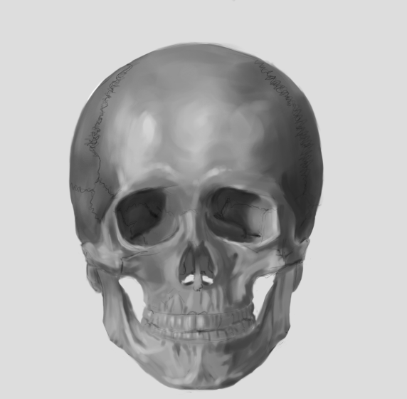 [Image: skull_of_an_adult_and_infant_by_75ilver-d53xjzb.png]