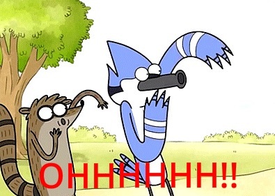 regular_show___ohhhhhh___meme_by_toxicpe