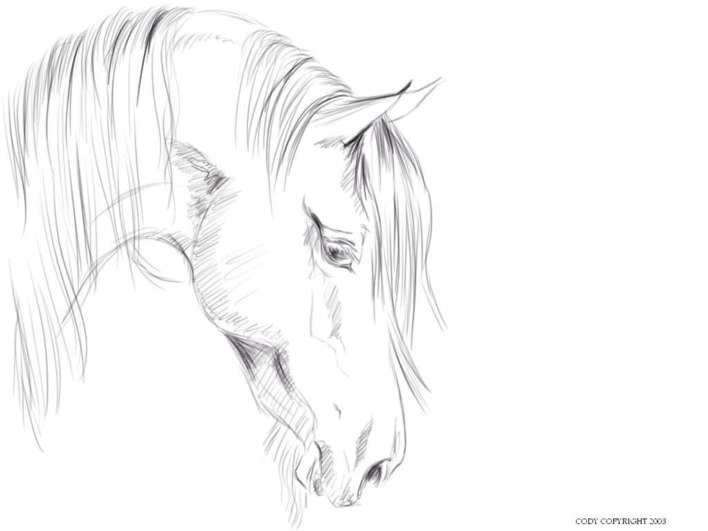 Realistic Rearing Horse Coloring Pages